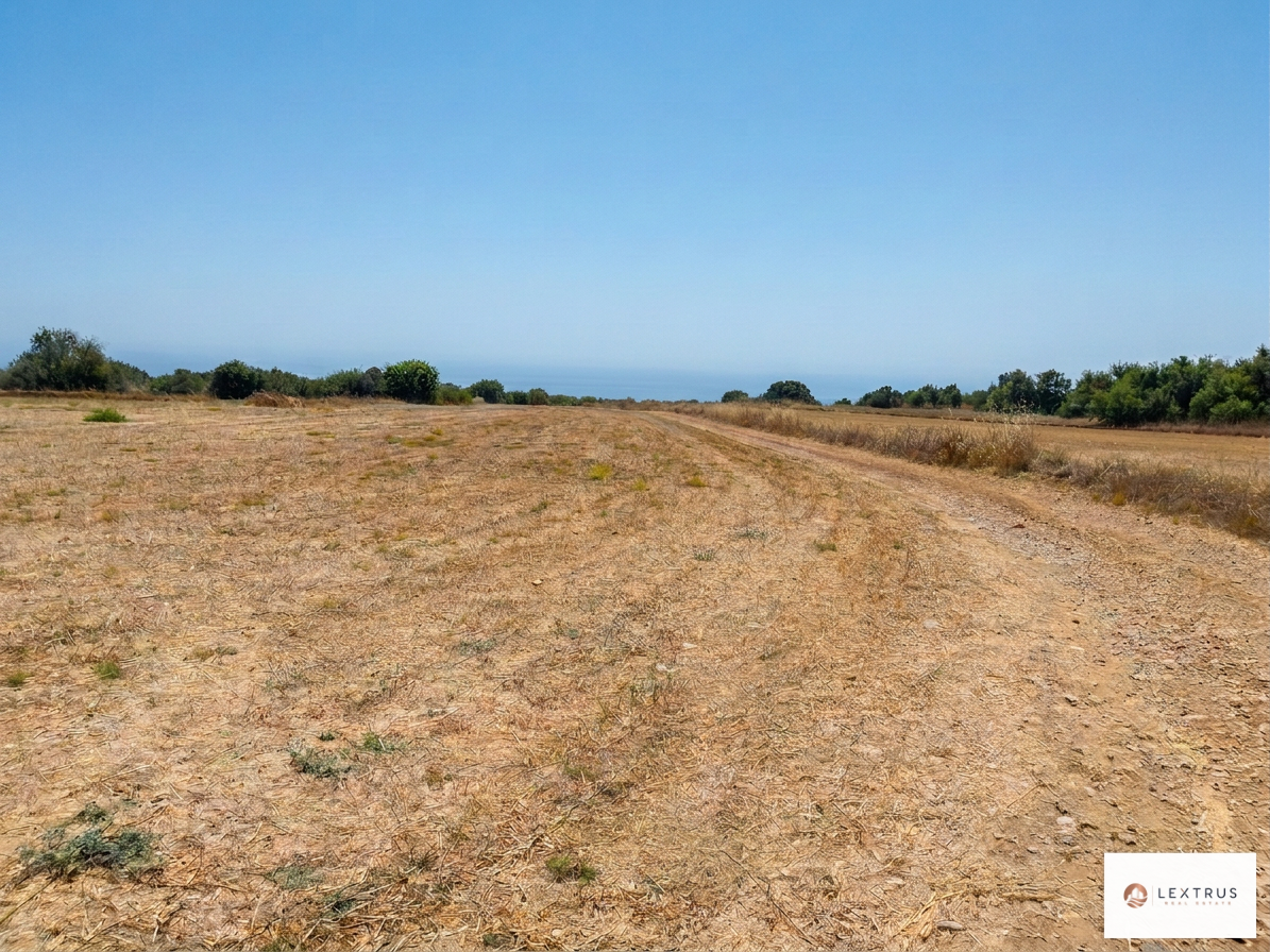 For Sale: Large Plot in Tremithoussa with Sea View, Paphos — 13713 m²